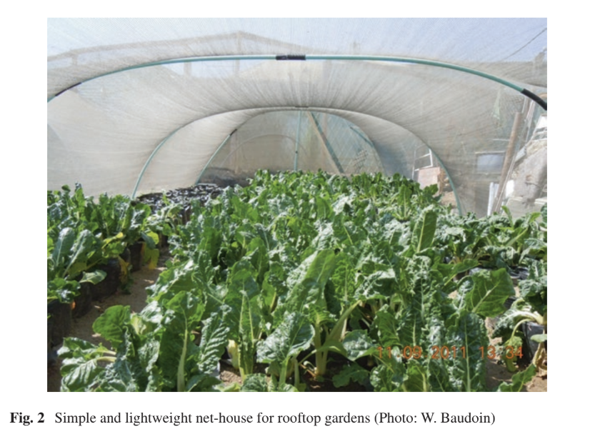 Rooftop Gardening: A Practical Guide to Improving Urban Food and Nutrition Security